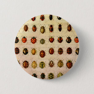 Ladybug Ladybird Beetle Insect Bug Button
