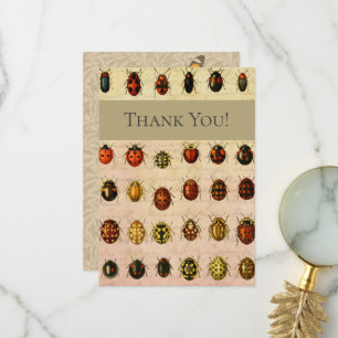 Ladybug Ladybird Beetle Insect Bug Dankeskarte