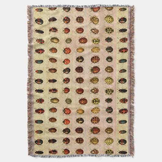 Ladybug Ladybird Beetle Insect Bug Decke (Vorderseite Vertikal)