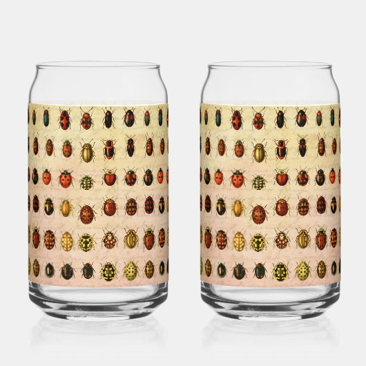 Ladybug Ladybird Beetle Insect Bug Dosenglas (Vorderseite)