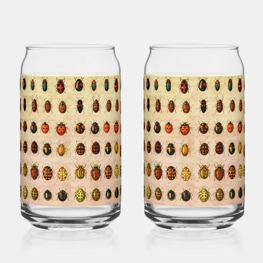 Ladybug Ladybird Beetle Insect Bug Dosenglas (Links)