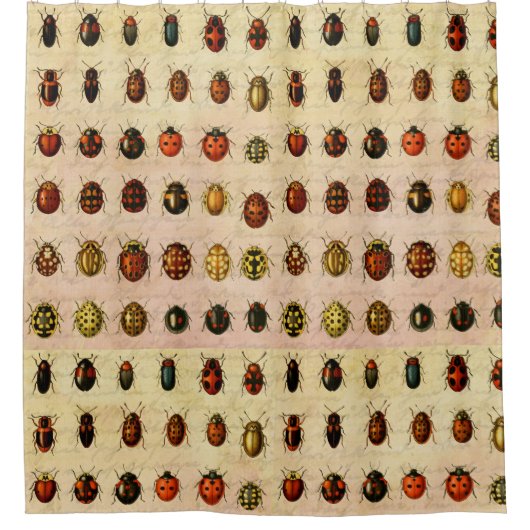 Ladybug Ladybird Beetle Insect Bug Duschvorhang (Vorderseite)