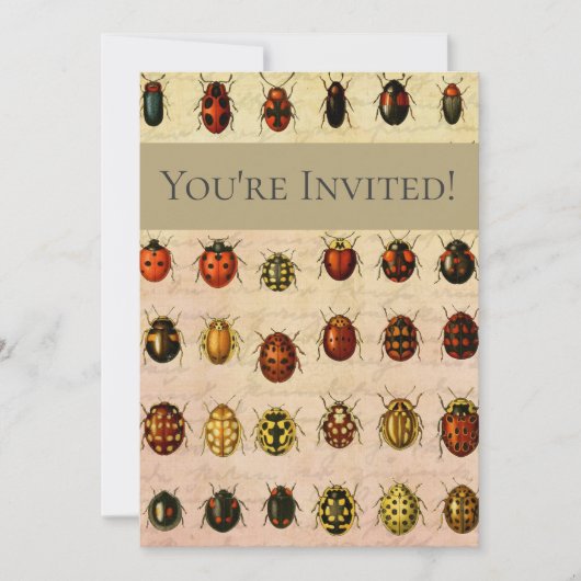 Ladybug Ladybird Beetle Insect Bug Einladung (Vorderseite)