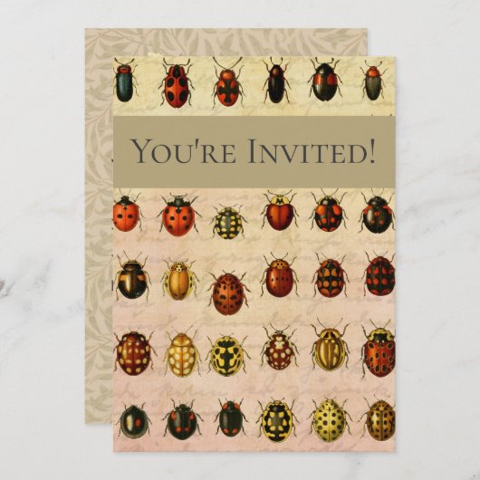 Ladybug Ladybird Beetle Insect Bug Einladung (Vorne/Hinten)
