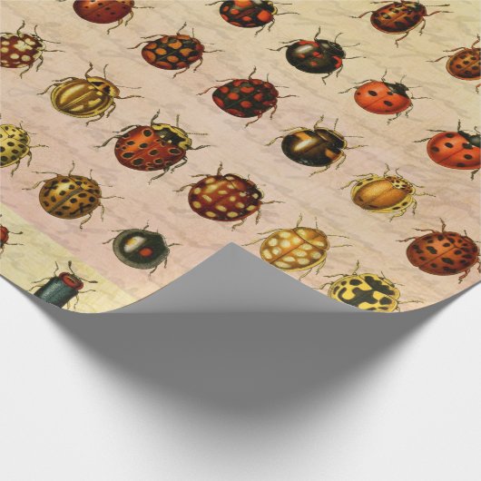 Ladybug Ladybird Beetle Insect Bug Geschenkpapier (Ecke)