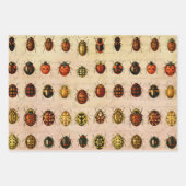Ladybug Ladybird Beetle Insect Bug Geschenkpapier Set (Vorderseite 3)