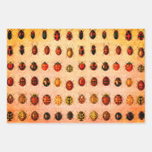 Ladybug Ladybird Beetle Insect Bug Geschenkpapier Set (Vorderseite 2)