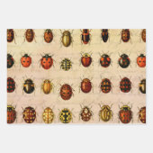 Ladybug Ladybird Beetle Insect Bug Geschenkpapier Set (Vorderseite)