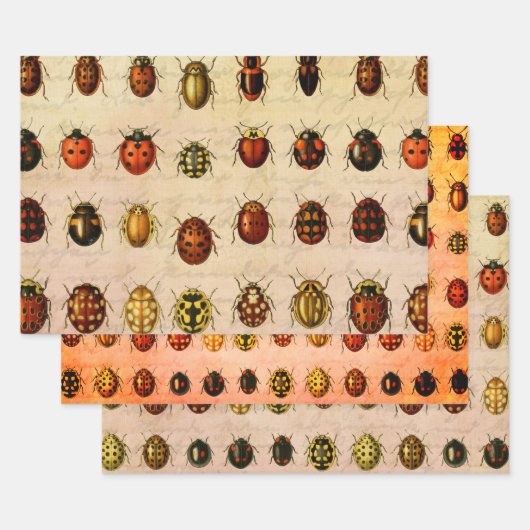 Ladybug Ladybird Beetle Insect Bug Geschenkpapier Set (Set)