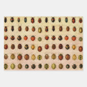 Ladybug Ladybird Beetle Insect Bug Geschenkpapier Set (Vorderseite 3)