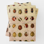 Ladybug Ladybird Beetle Insect Bug Geschenkpapier Set (Beispiel)