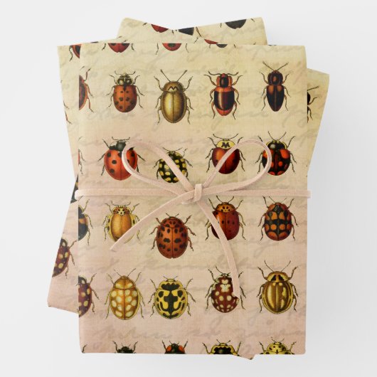 Ladybug Ladybird Beetle Insect Bug Geschenkpapier Set (Beispiel)