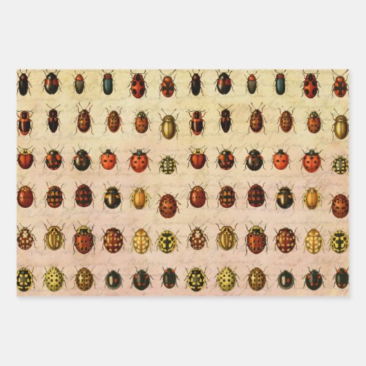 Ladybug Ladybird Beetle Insect Bug Geschenkpapier Set (Vorderseite)