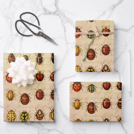 Ladybug Ladybird Beetle Insect Bug Geschenkpapier Set (Vorderseite)