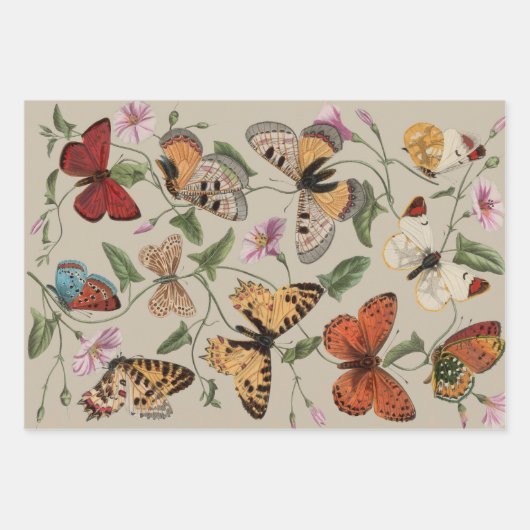 Ladybug Ladybird Beetle Insect Bug Geschenkpapier Set (Vorderseite 2)