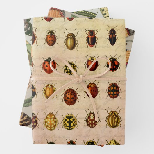 Ladybug Ladybird Beetle Insect Bug Geschenkpapier Set (Beispiel)