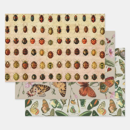 Ladybug Ladybird Beetle Insect Bug Geschenkpapier Set (Set)