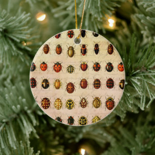 Ladybug Ladybird Beetle Insect Bug Keramik Ornament