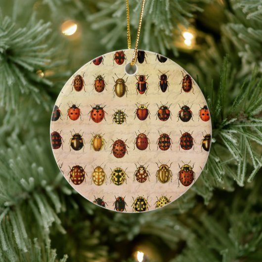 Ladybug Ladybird Beetle Insect Bug Keramik Ornament (Baum)