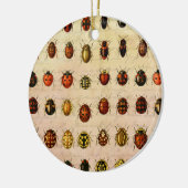 Ladybug Ladybird Beetle Insect Bug Keramik Ornament (Links)