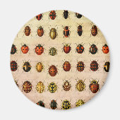 Ladybug Ladybird Beetle Insect Bug Magnet (Vorne)
