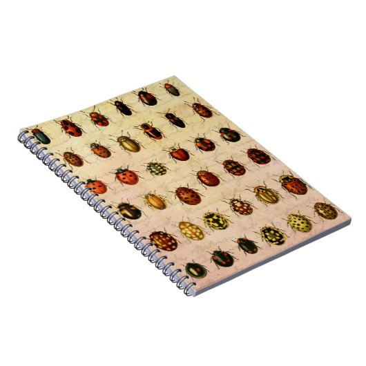 Ladybug Ladybird Beetle Insect Bug Notizblock (Rechte Seite)