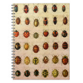 Ladybug Ladybird Beetle Insect Bug Notizblock (Vorderseite)