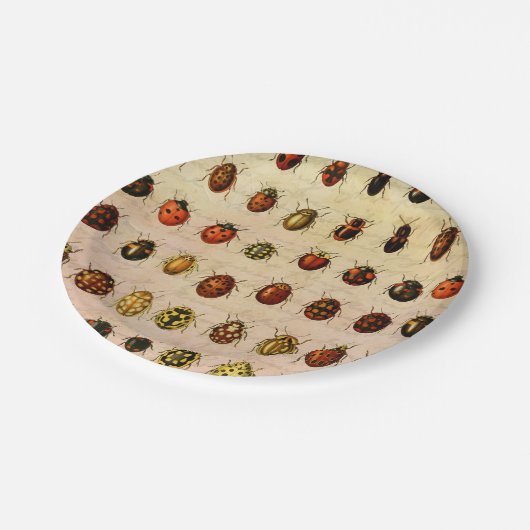 Ladybug Ladybird Beetle Insect Bug Pappteller (Schrägansicht)