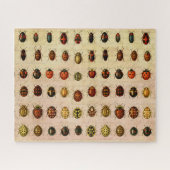 Ladybug Ladybird Beetle Insect Bug Puzzle (Horizontal)