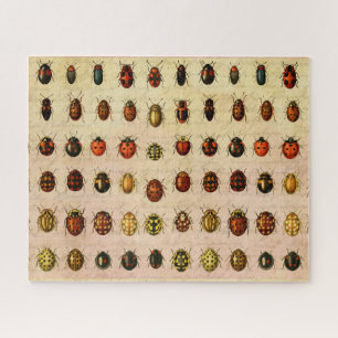 Ladybug Ladybird Beetle Insect Bug Puzzle