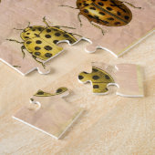 Ladybug Ladybird Beetle Insect Bug Puzzle (Seite)