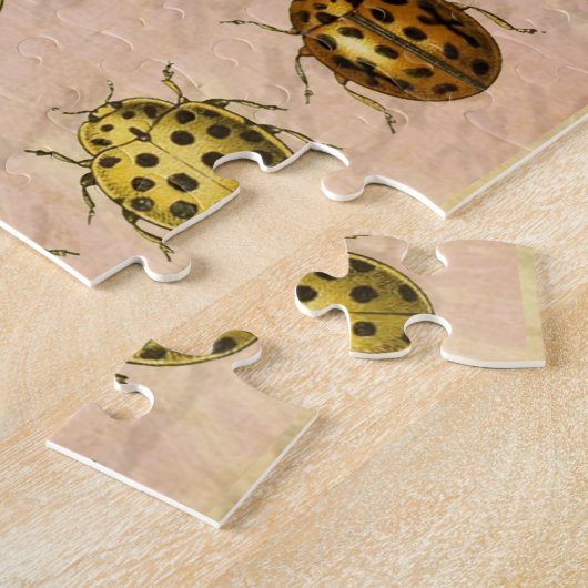 Ladybug Ladybird Beetle Insect Bug Puzzle (Seite)