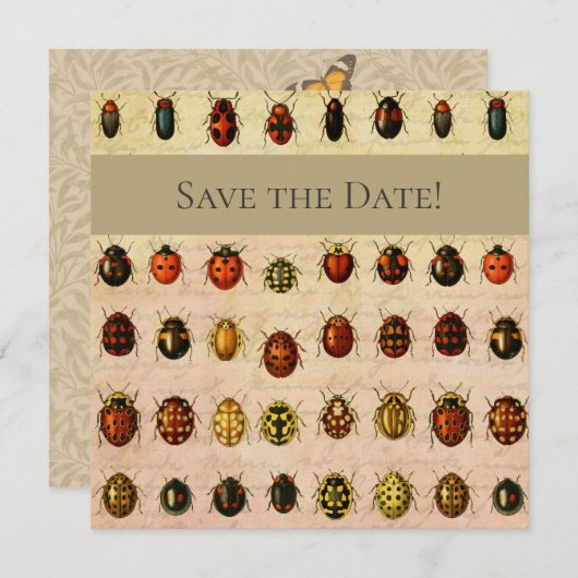 Ladybug Ladybird Beetle Insect Bug Save The Date (Vorne/Hinten)