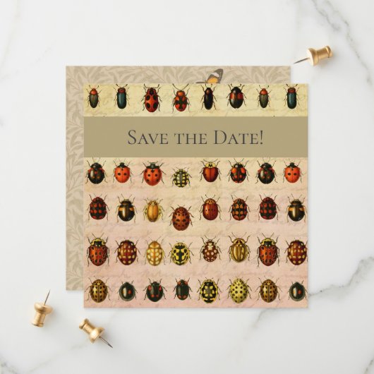 Ladybug Ladybird Beetle Insect Bug Save The Date (Vorderseite/Rückseite Beispiel)