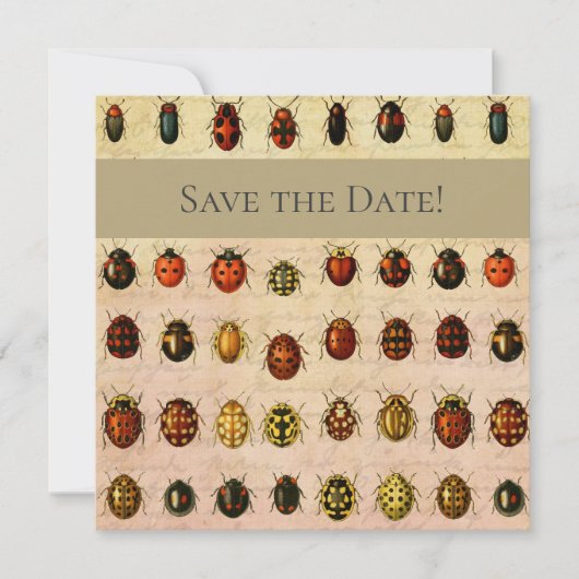 Ladybug Ladybird Beetle Insect Bug Save The Date (Vorderseite)