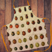 Ladybug Ladybird Beetle Insect Bug Schürze