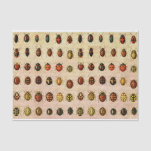 Ladybug Ladybird Beetle Insect Bug Seidenpapier