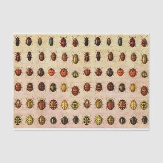 Ladybug Ladybird Beetle Insect Bug Seidenpapier (Vorderseite)