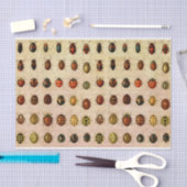 Ladybug Ladybird Beetle Insect Bug Seidenpapier (Handwerk)