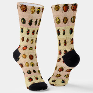 Ladybug Ladybird Beetle Insect Bug Socken