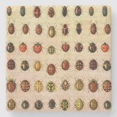 Ladybug Ladybird Beetle Insect Bug Steinuntersetzer (Vorderseite)