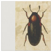 Ladybug Ladybird Beetle Insect Bug Stoff (Nahaufnahme)