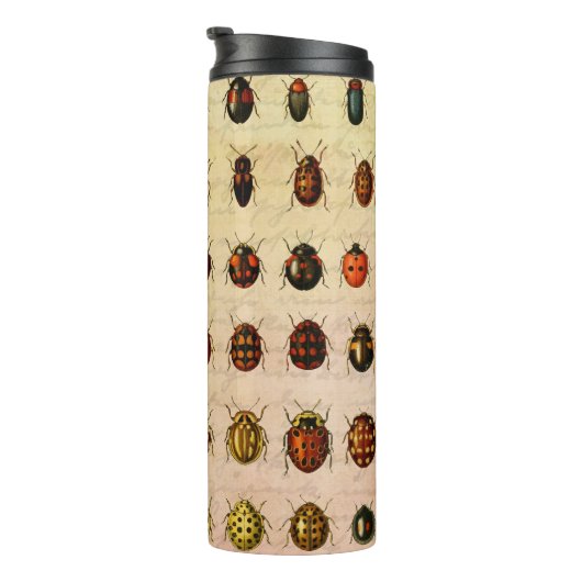 Ladybug Ladybird Beetle Insect Bug Thermosbecher (Nach rechts gedreht)