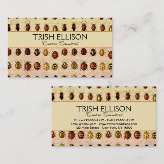 Ladybug Ladybird Beetle Insect Bug Visitenkarte (Vorne/Hinten)