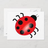 Ladybug - Ladybird Postkarte (Vorne/Hinten)