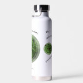 Ladybug Ladybug Trinkflasche (Rechts)