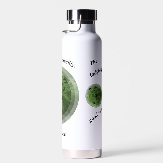 Ladybug Ladybug Trinkflasche (Rechts)
