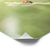 Ladybug Ladybug Wo bist du hingegangen Foto Print? (Ecke)