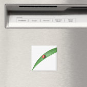 Ladybug Leaf Magnet (In Situ (Geschirrspüler))