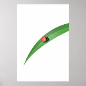 Ladybug Leaf Poster (Vorne)